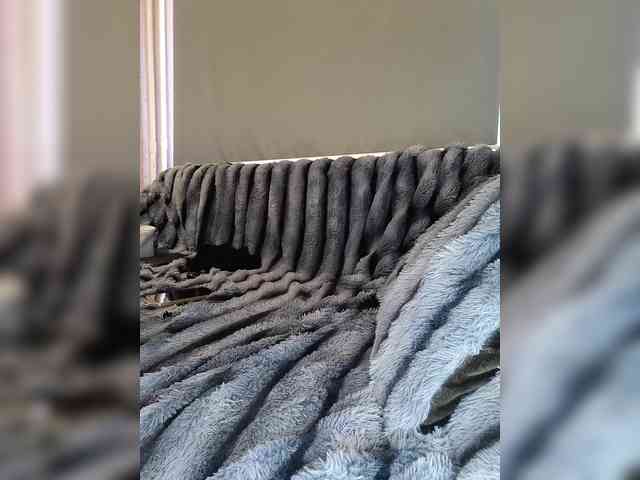 exnasis webcam