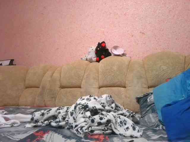 exnasis webcam