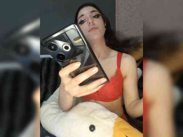exnasis webcam