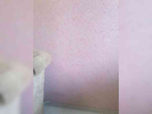 exnasis webcam