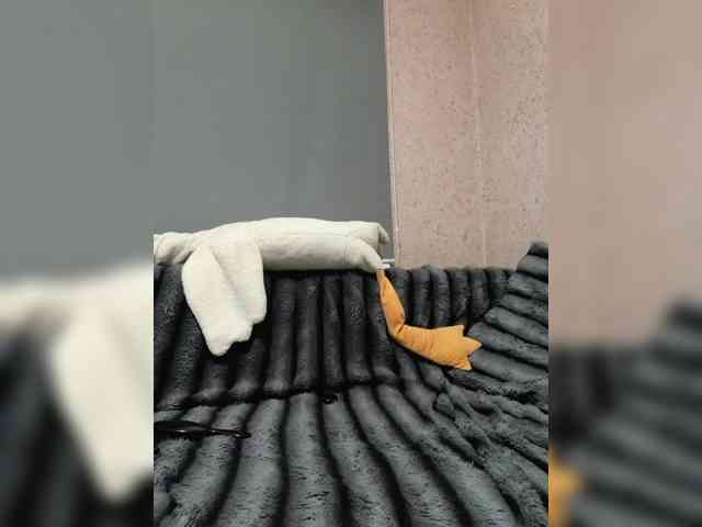 exnasis webcam