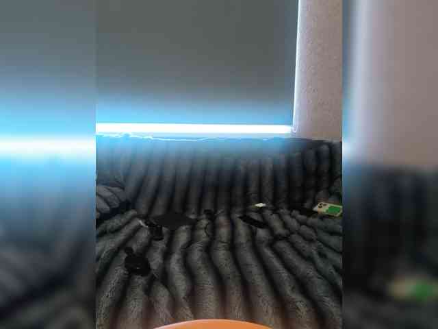 exnasis webcam