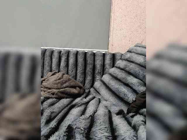 Модель: exnasis