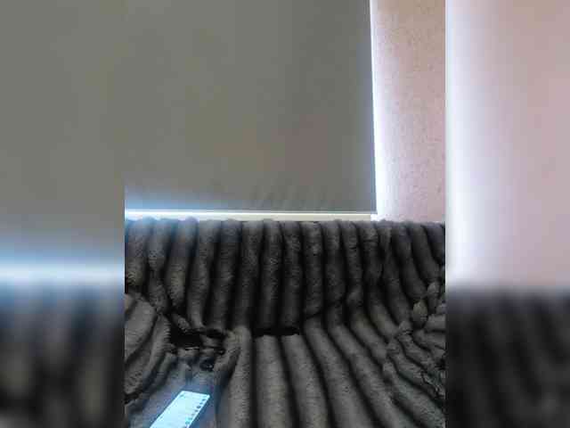 exnasis webcam