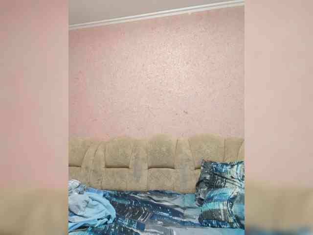 exnasis webcam