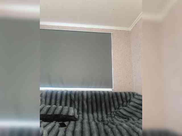exnasis webcam