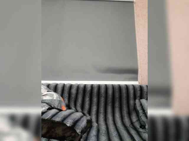 exnasis webcam