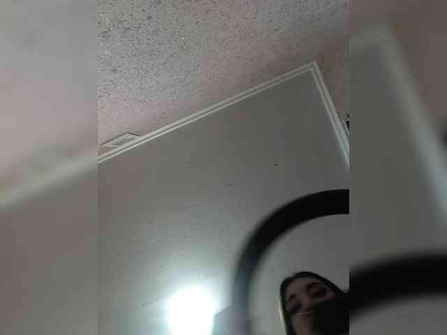 exnasis webcam