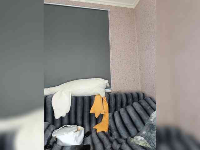 exnasis webcam