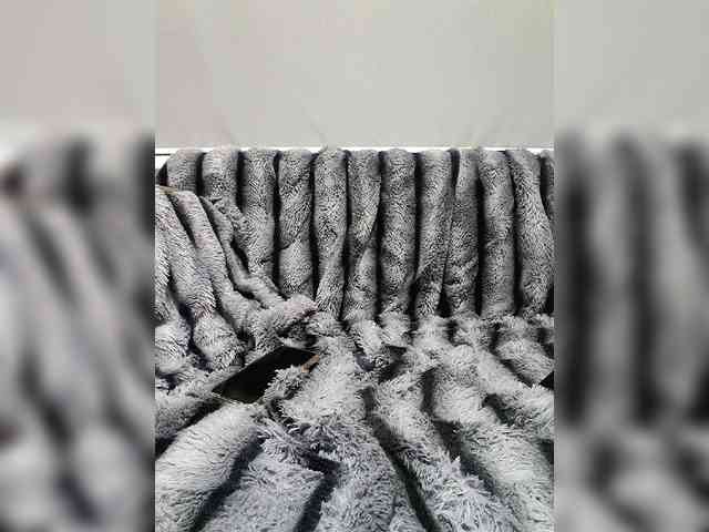 exnasis webcam