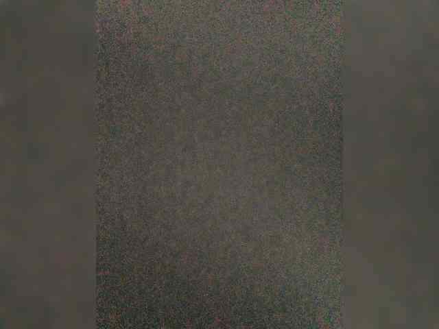 exnasis webcam