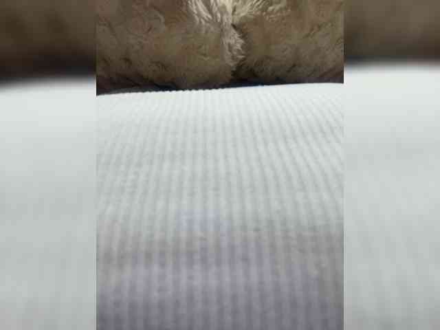 MeganRosse1