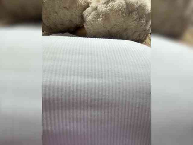 MeganRosse webcam