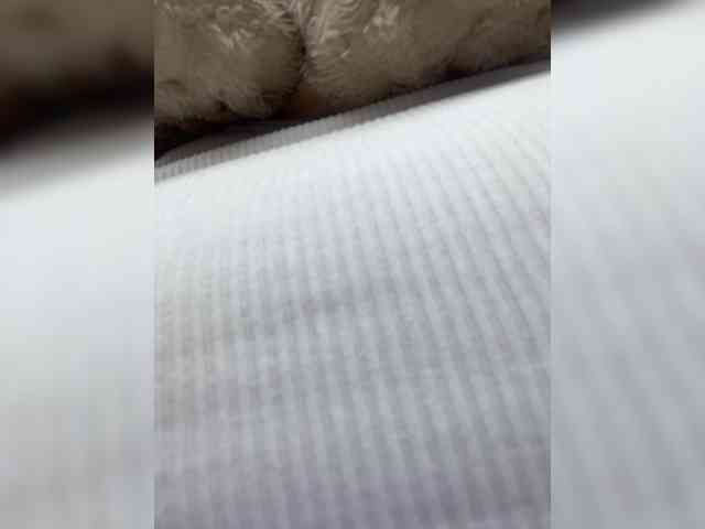 MeganRosse webcam