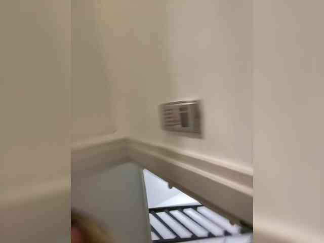 MeganRosse webcam