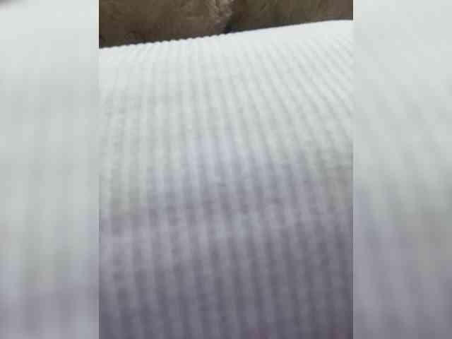 MeganRosse webcam