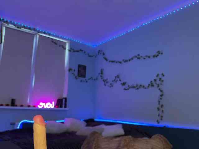 kitty1kristy1 webcam