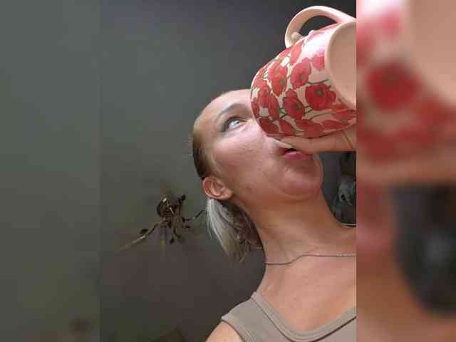 ARotikA1 webcam
