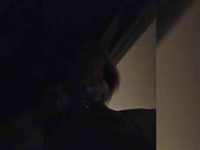 Модель: ARotikA1