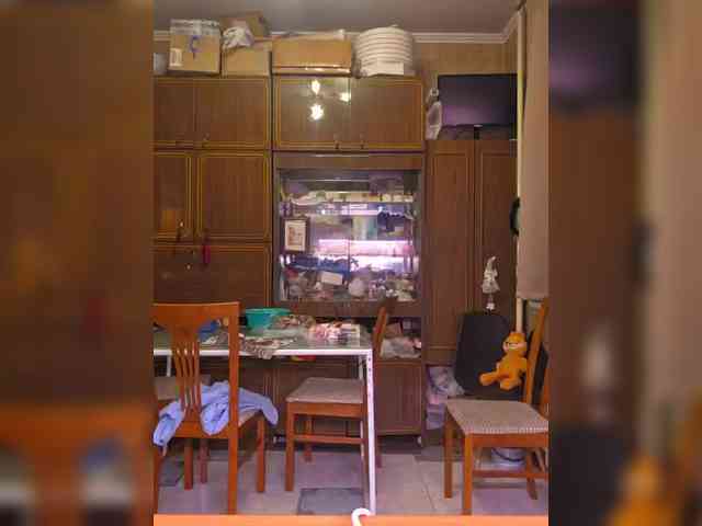 ARotikA1 webcam