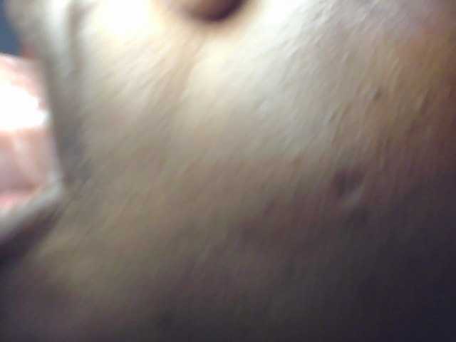spicey live webcam show