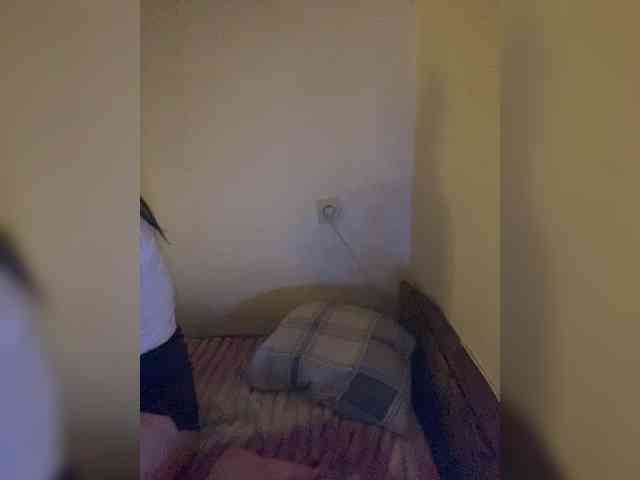 ShadowPlay15 webcam