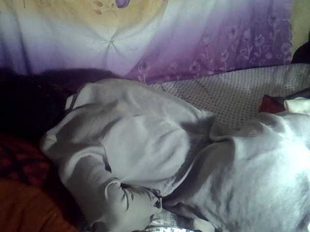 Cute-Viviana's BongaCams show and profile