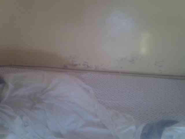 Cute-Viviana webcam