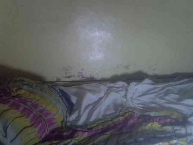Cute-Viviana webcam