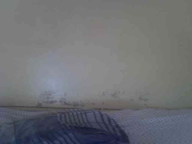 Cute-Viviana webcam
