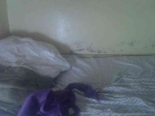 Cute-Viviana webcam