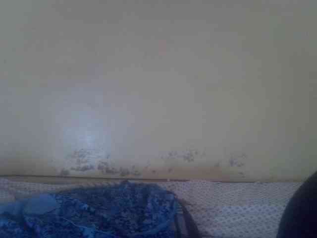 Cute-Viviana webcam