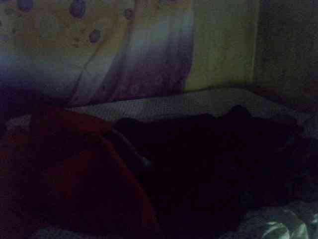 Cute-Viviana webcam