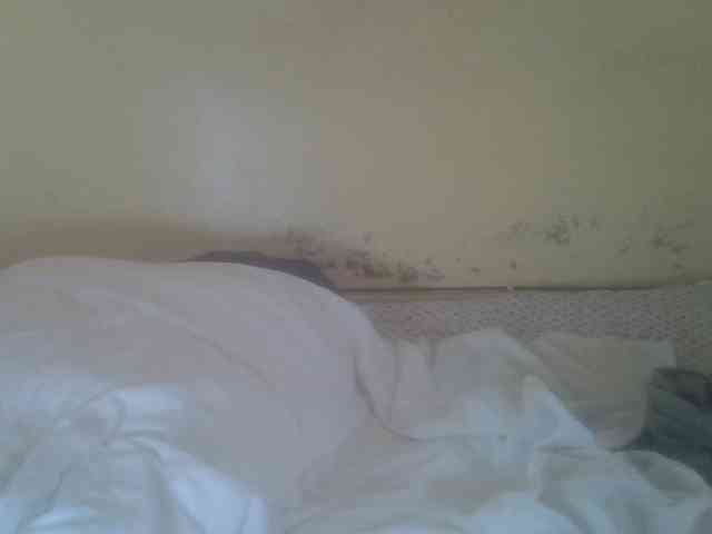 Cute-Viviana webcam