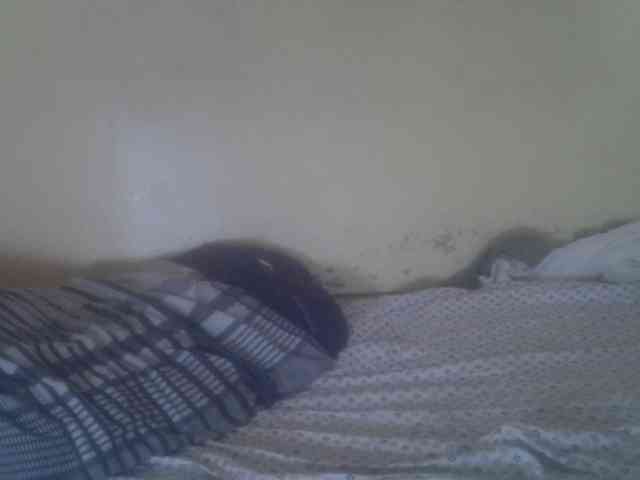 Cute-Viviana webcam