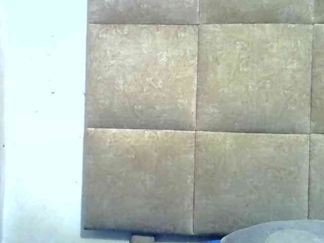 Collegebjxx21 webcam