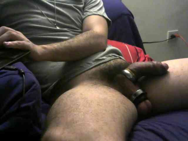 3LEGSSS