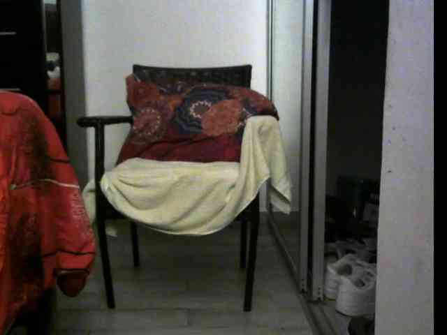 3LEGSSS