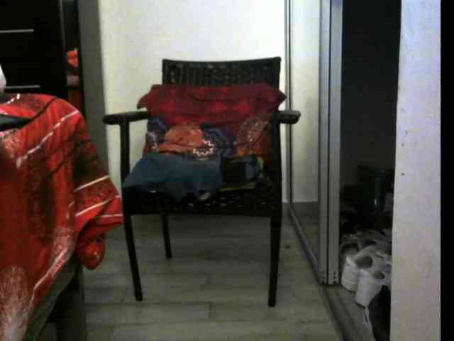 3LEGSSS