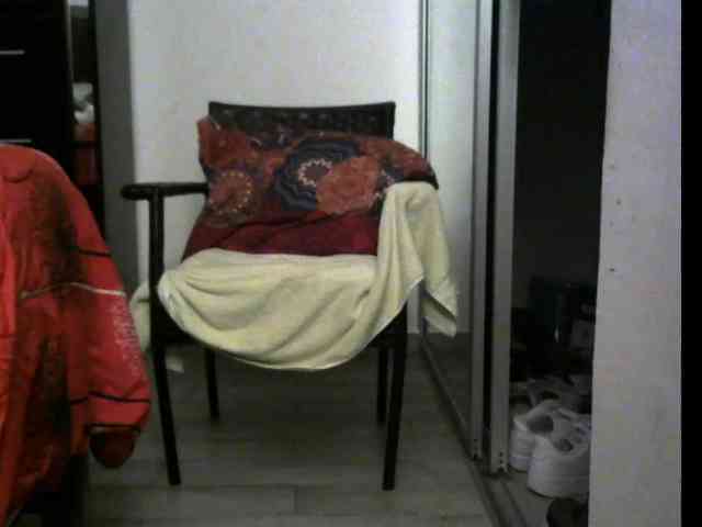 3LEGSSS