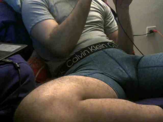 3LEGSSS