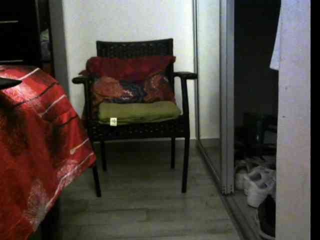 3LEGSSS