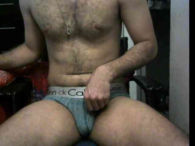 3LEGSSS