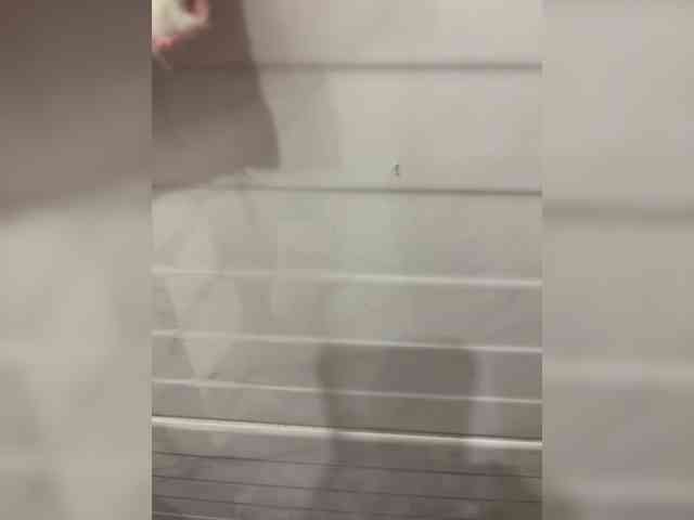 Pon4iik666-Kodi4ka webcam