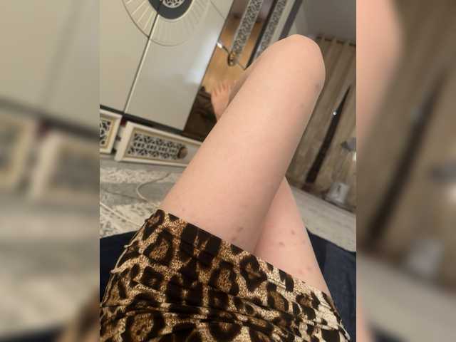 Sandra12