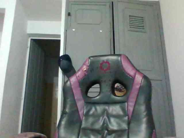 ladynemesis00 webcam