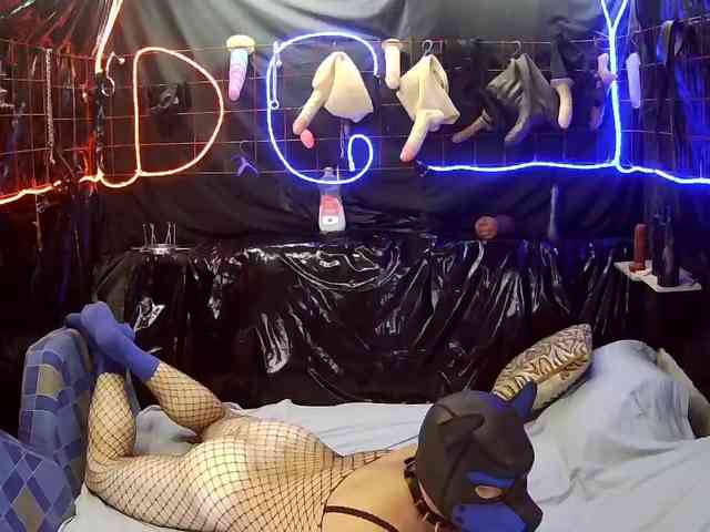 Doberman1a