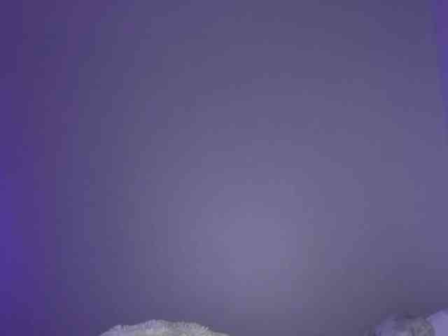Blairjane