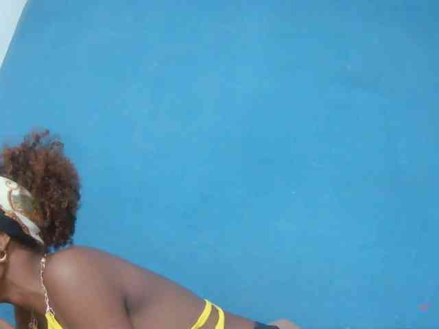 Sylvia6 webcam
