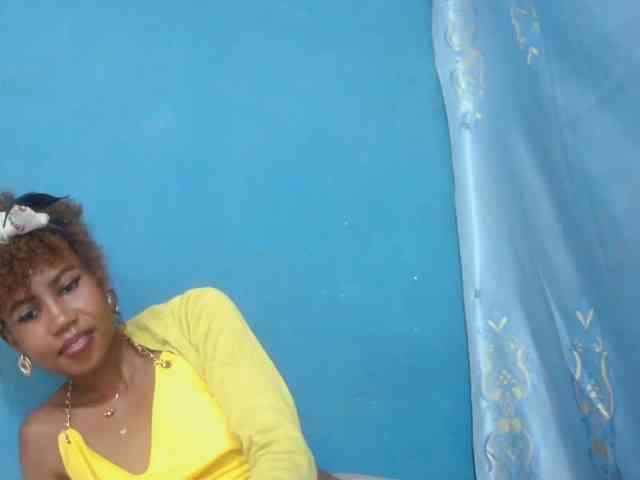 Sylvia6 webcam